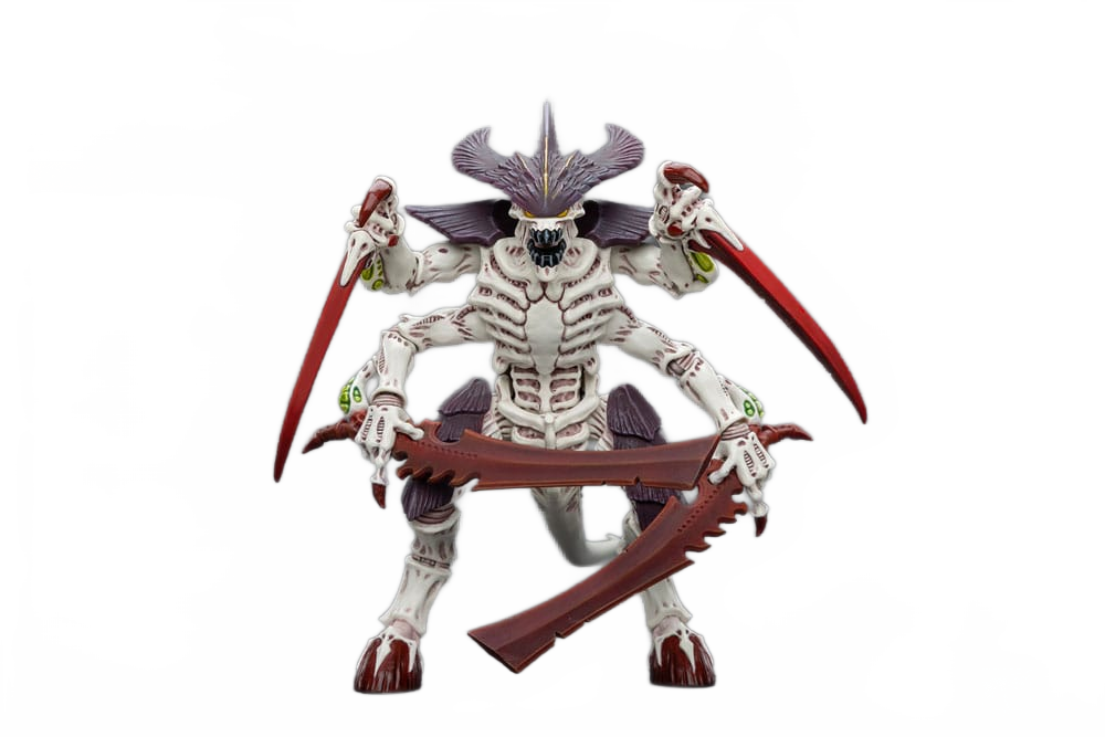 this is a product image