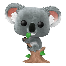 Australian Animals POP! Vinyl Figure Koala (FL) - Funko Pop! Figures