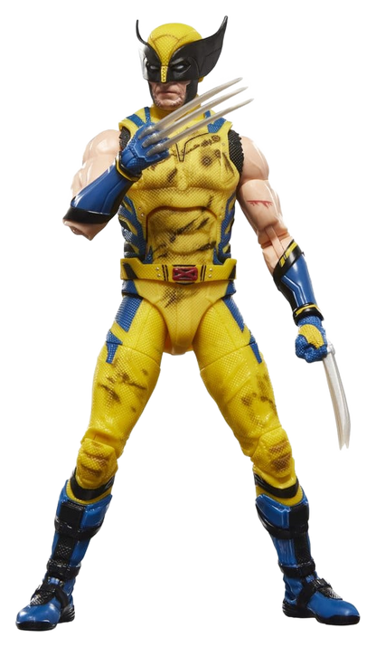 this is a product image