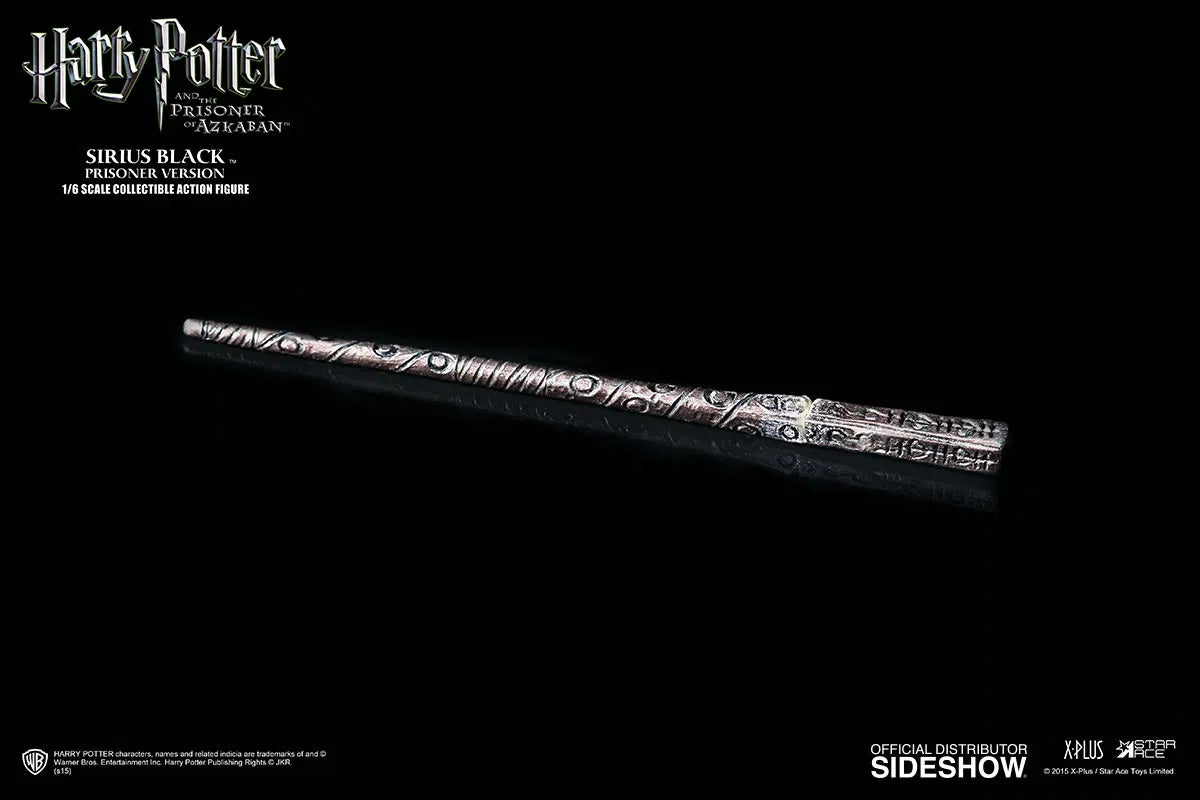 Harry Potter & The Prisoner Of Azkaban: Sirius Black: Sixth Scale Figure: Star Ace