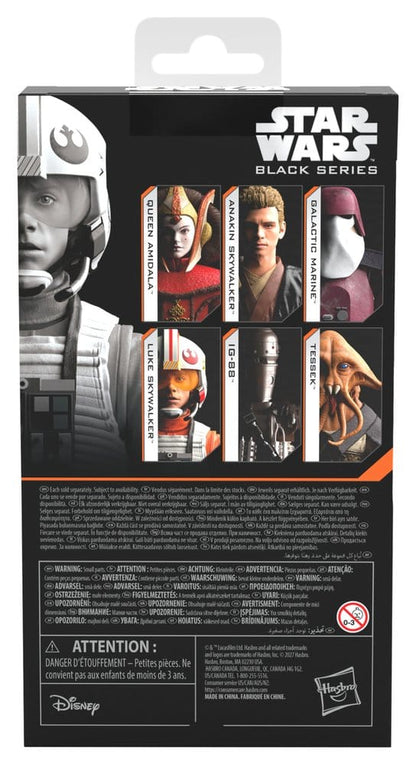 Star Wars Episode IV Black Series Action Figure Luke Skywalker (X-Wing Pilot)