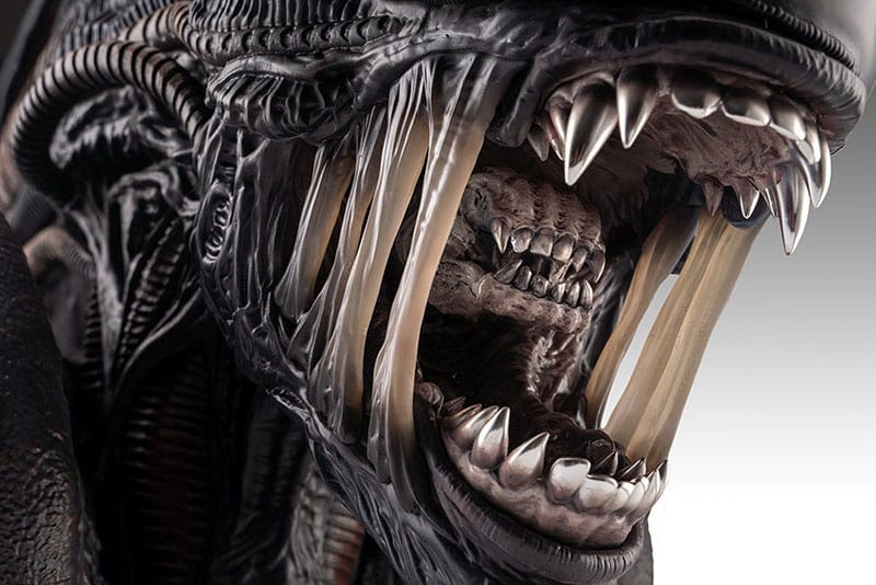 Alien Romulus: Xenomorph: 1/1 Bust - Hollywood Collectibles Group Lifesize busts
