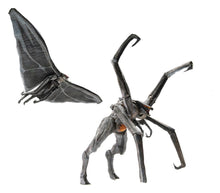 Godzilla Box Qty 2014 Exquisite Basic Action Figures Male & Female Muto Set 16 cm - Hiya Toys Action Figures