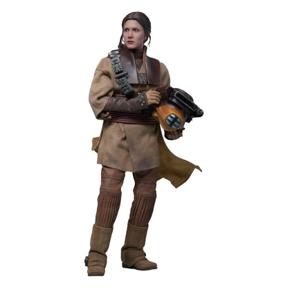 Star Wars Episode VI Movie Masterpiece Action Figure 1/6 Leia Organa (Boushh Disguise) 27 cm