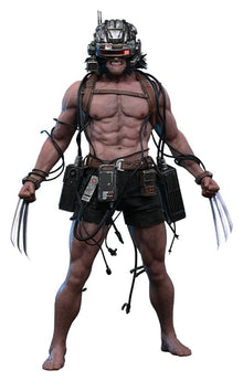 Marvel Comic Masterpiece Action Figure 1/6 Weapon X 31 cm - Hot Toys Action Figures