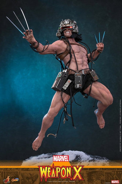 Marvel Comic Masterpiece Action Figure 1/6 Weapon X 31 cm - Hot Toys Action Figures