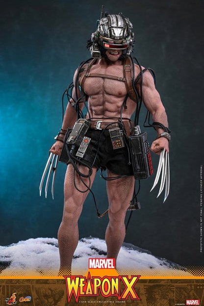 Marvel Comic Masterpiece Action Figure 1/6 Weapon X 31 cm - Hot Toys Action Figures