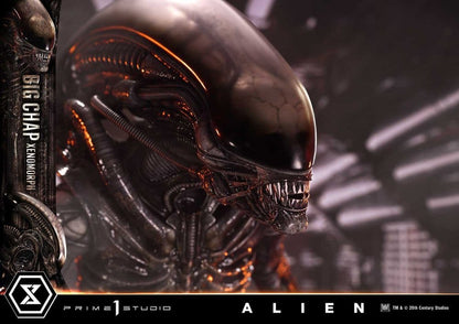 Alien Museum Masterline XL Statue 1/3 Big Chap Xenomorph Regular Ver. Bonus Version 100 cm - Prime 1 Studio Statues & Busts